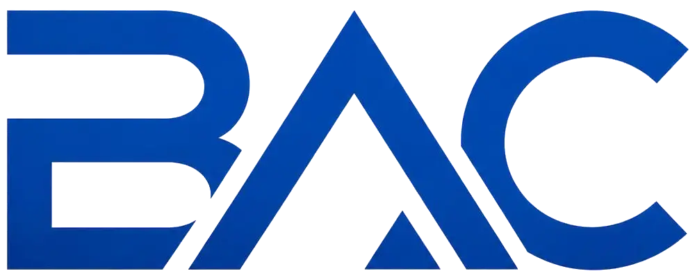 BAC Energy commercial energy and infrastructure advisory